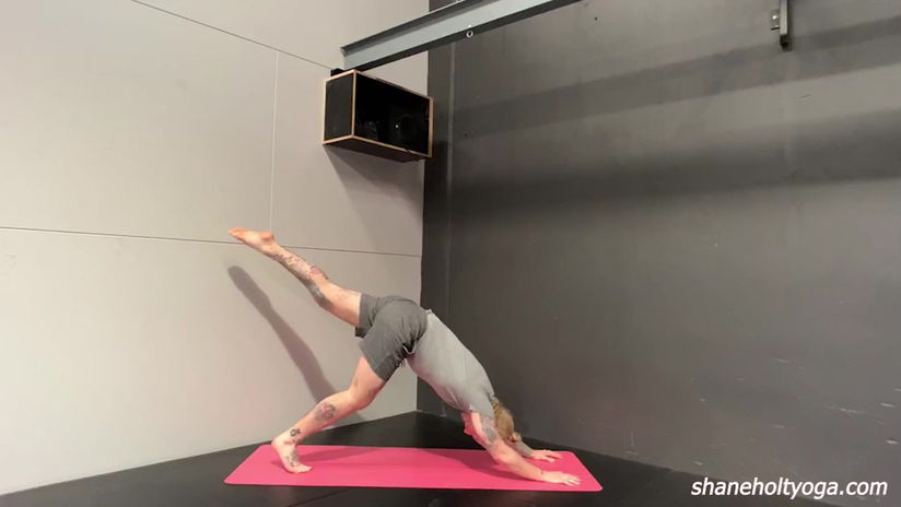 Signature Vinyasa V5 with Shane